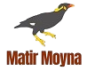Application Logo